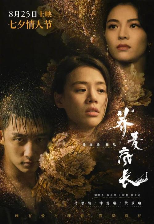 存款证明没了怎么取